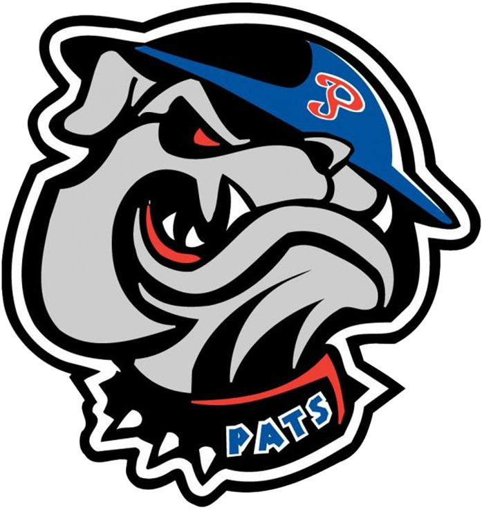 Regina Pats 2002 03-Pres Alternate Logo vinyl decal